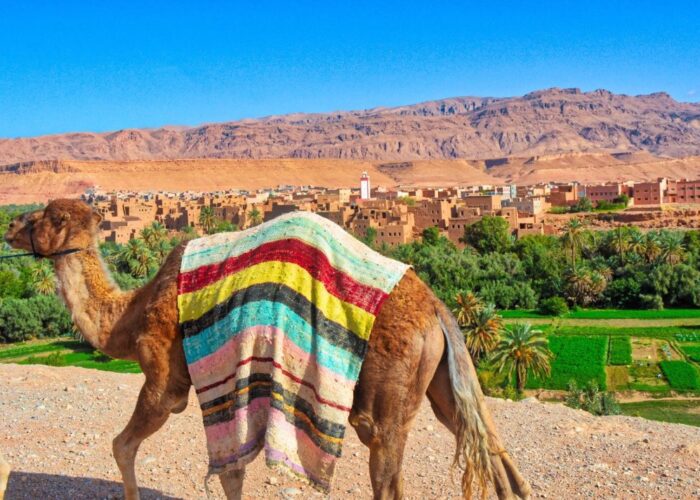 3 Days Tour from Marrakech to Merzouga