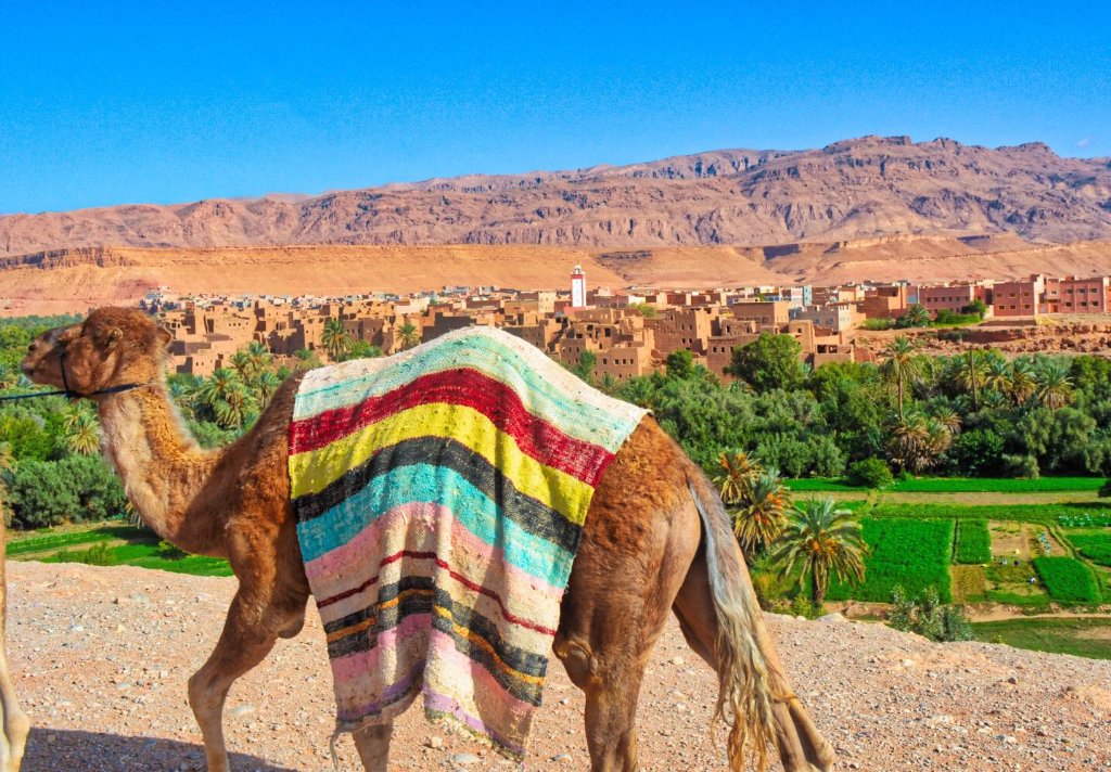 3 Days Tour from Marrakech to Merzouga