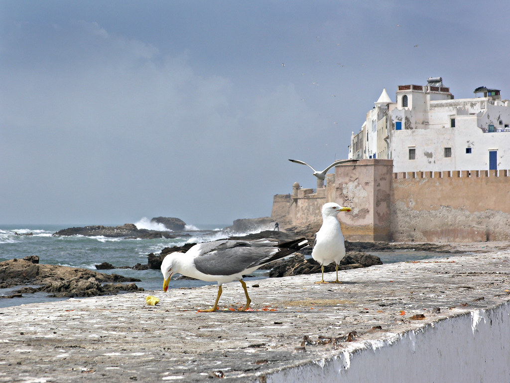 The best beaches in Morocco