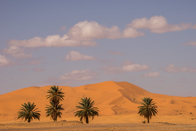 4 Days tour from Marrakech to Merzouga- Itinerary 4 Day