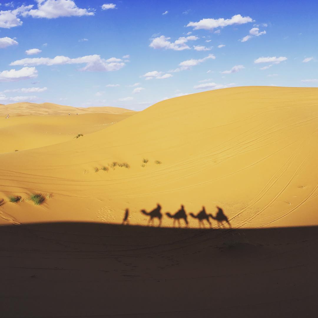 Morocco 10 days desert tour from Tangier to Marrakech cover photo