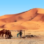 3 days tour from Ouarzazate to Merzouga