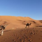 2 days tour from Ouarzazate