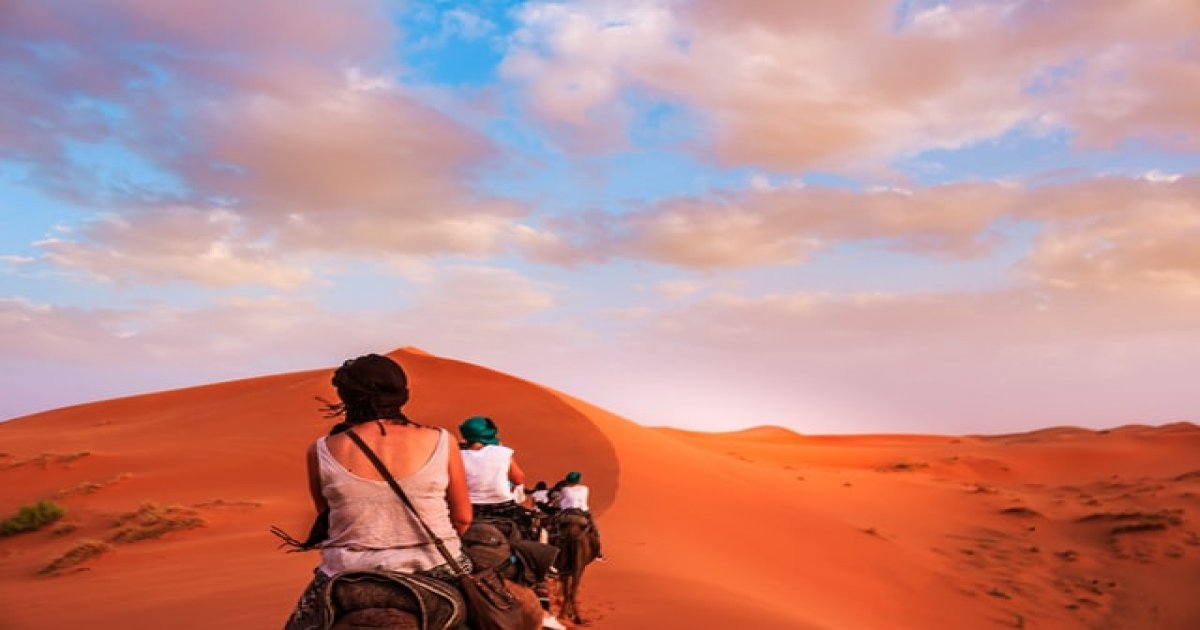 Morocco tours travel agency, Camel rides in desert, Marrakech camel trips