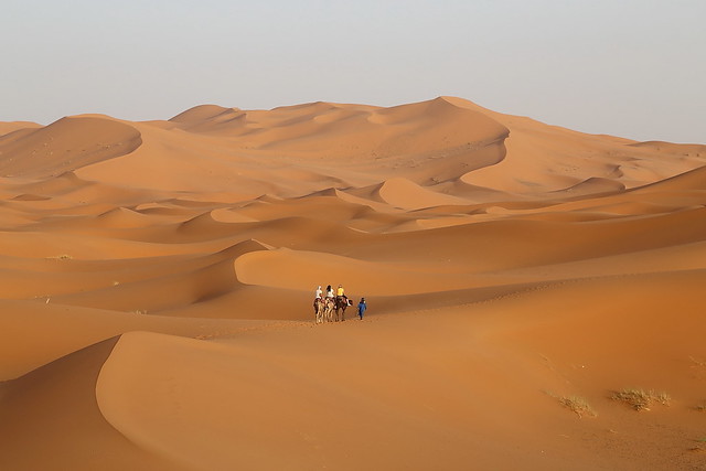 Exploring Morocco's Official Languages: What You Need to Know