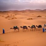 Morocco desert tours 6 days