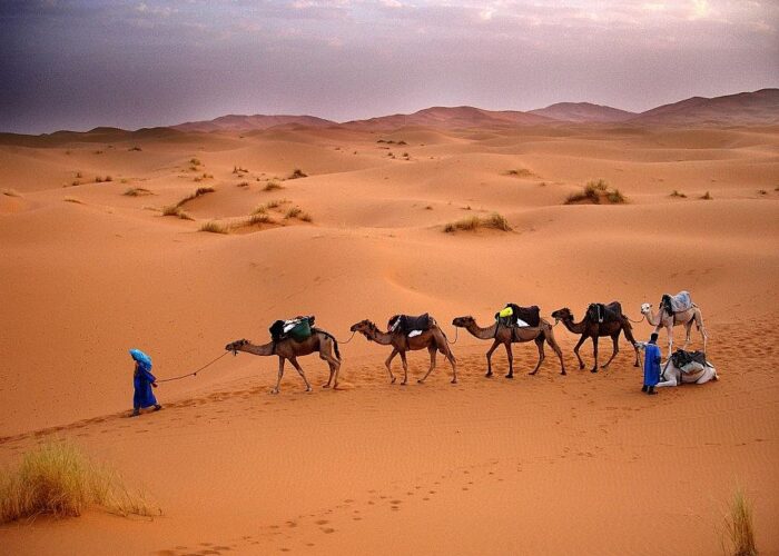 Morocco desert tours 6 days