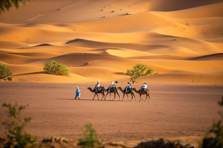 Errachidia Desert tour