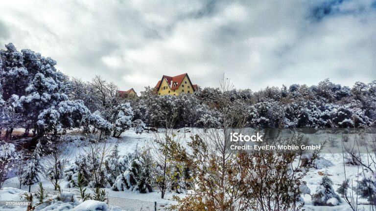 10 Days Tour From Tangier