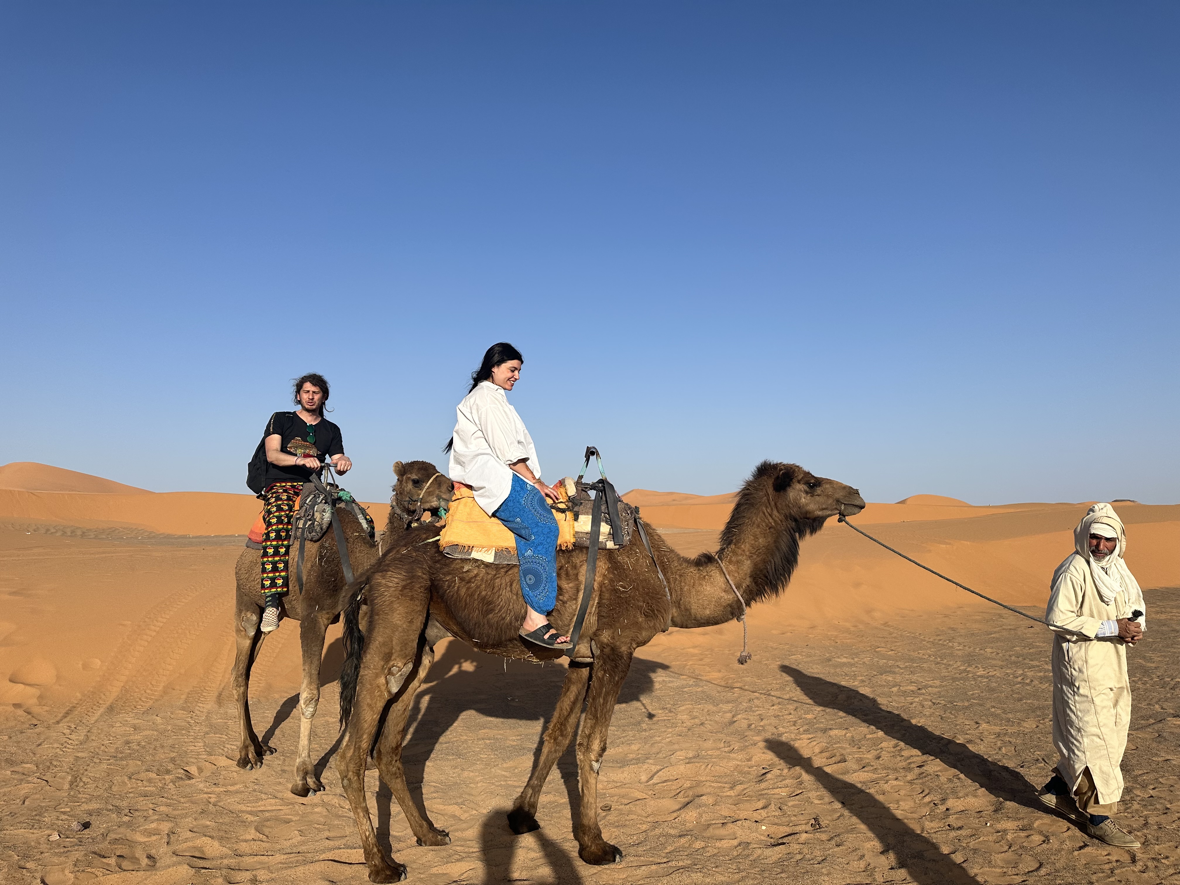 Temperature In The Sahara Desert