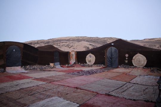 Zagora desert tours: A vast expanse of golden sand dunes stretching into the horizon under a clear blue sky.