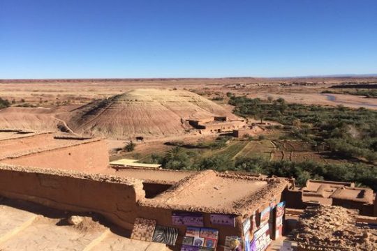 Zagora desert tours: A vast expanse of golden sand dunes stretching into the horizon under a clear blue sky.